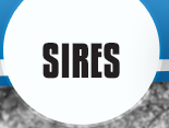 Sires